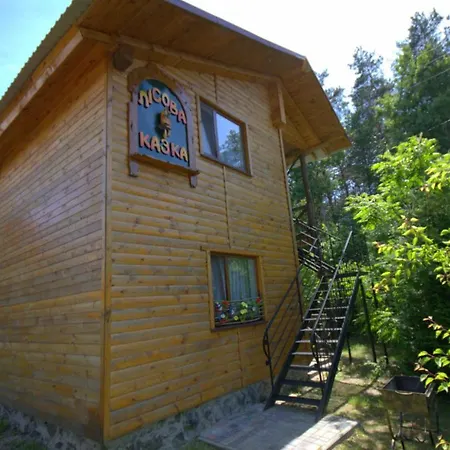 Вілла Садиба Лісова казка Шацьк Екстер'єр фото