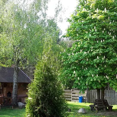 Вілла Садиба Лісова казка Шацьк Екстер'єр фото