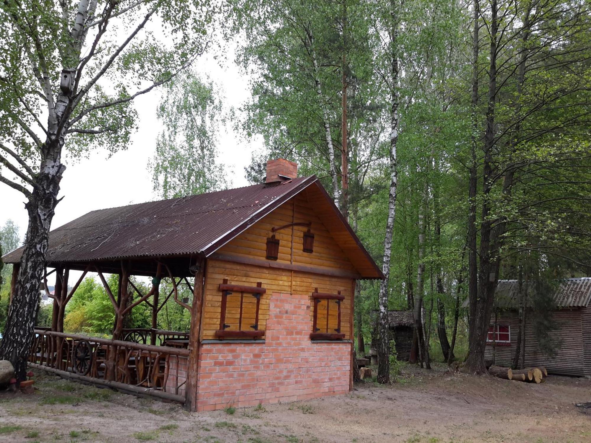 Дерев'яний котедж садиба лісова казка Шацьк