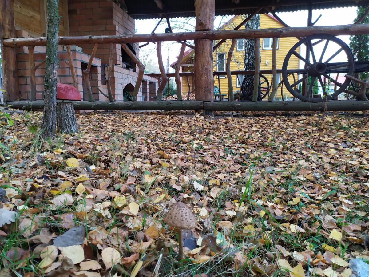 садиба лісова казка Шацьк