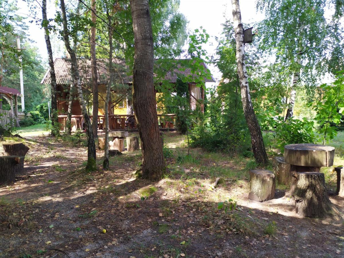 лісова казка *