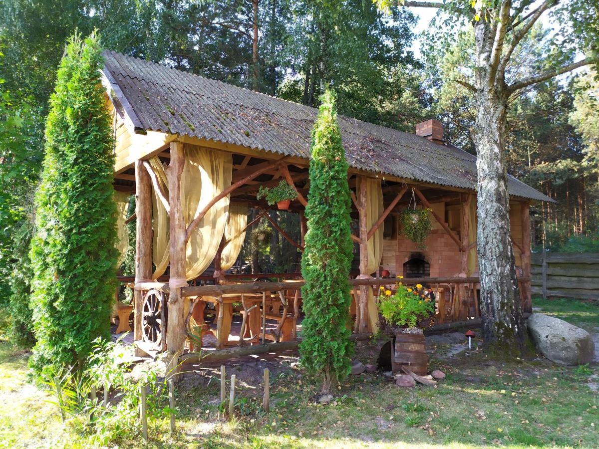 лісова казка Shatsk