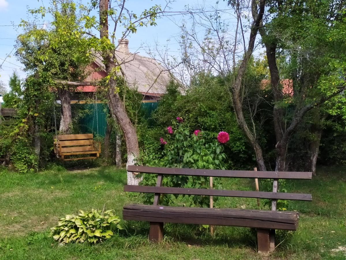 лісова казка * Shatsk